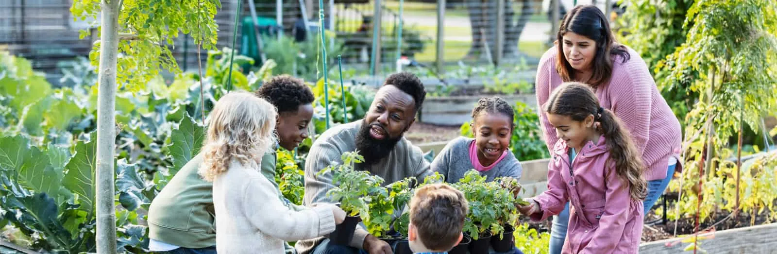 Group of people surrounded by and working with plants