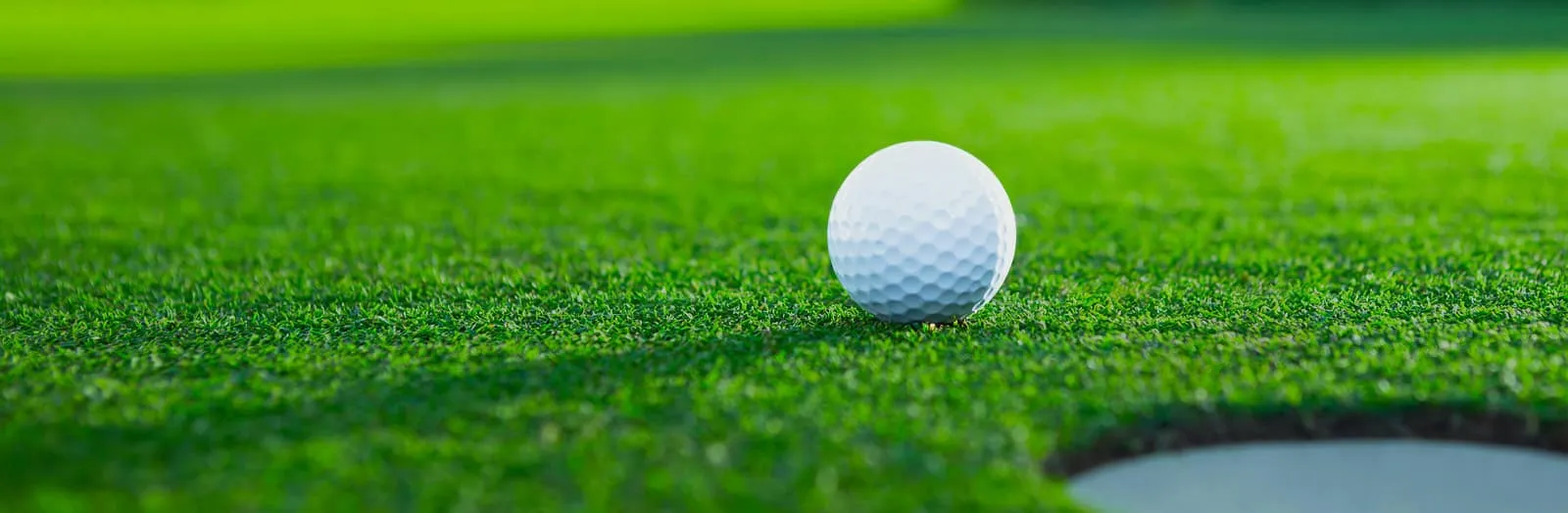 Golf Ball on Green