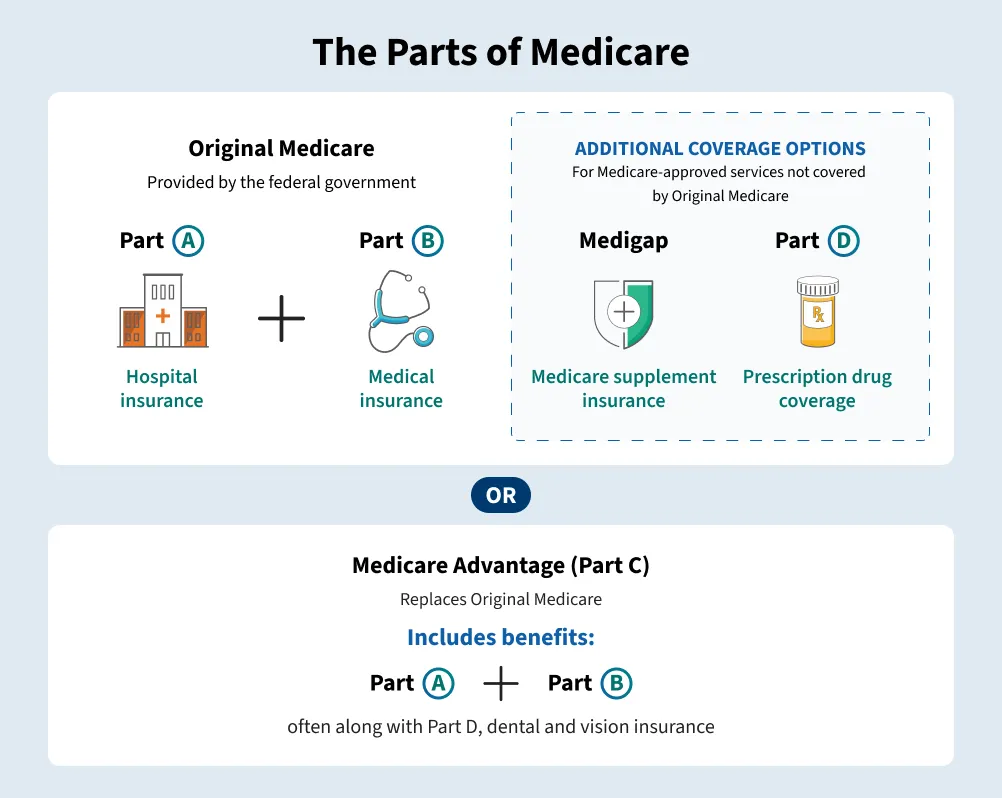 Medicare has specific enrollment periods for signing up and making coverage changes. Some people are automatically enrolled, while others must enroll during their Initial Enrollment Period, a Special Enrollment Period triggered by certain life events, or the General Enrollment Period if they missed their first opportunity. Medicare supplement insurance has a six-month Open Enrollment Period that begins when you are age 65 or older and enrolled in Part B, allowing enrollment without medical underwriting. After enrolling in Medicare, you can make changes during the Medicare Open Enrollment Period, the Medicare Advantage Open Enrollment Period, or certain Special Enrollment Periods, such as after losing coverage or moving outside your plan’s service area and losing access to that coverage. Medicare supplement plans can generally be changed at any time, although medical underwriting may apply outside the initial Medigap enrollment window.