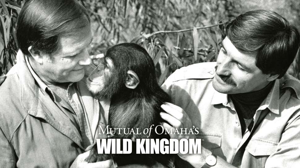 Wild Kingdom