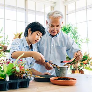 grandfather and grandson planting pot