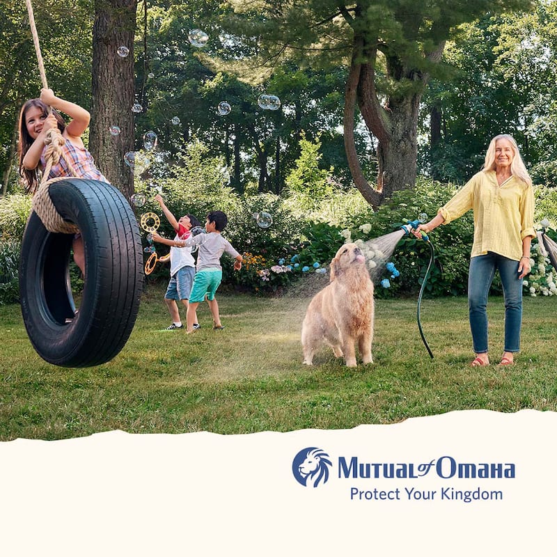 kid swinging on a tire swing with kids playing and a grandmother watering grass with a golden retriever trying to drink the water