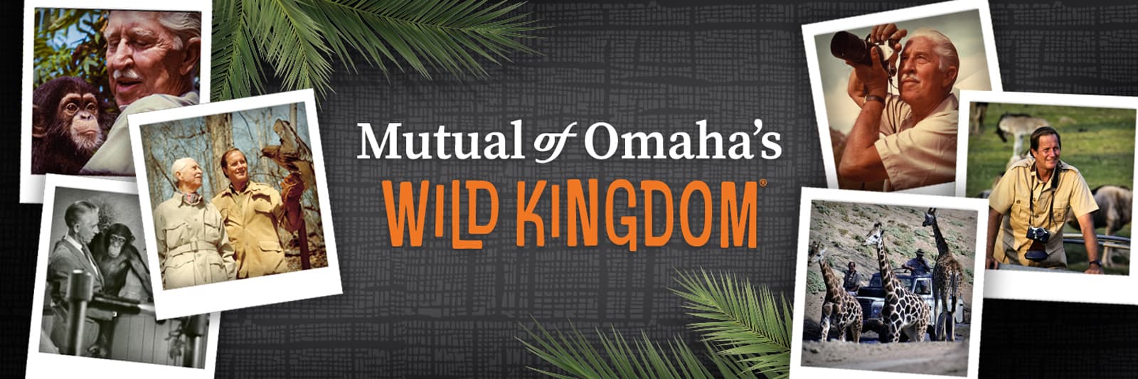 Mutual of Omaha's Wild Kingdom Banner