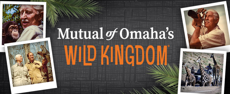 Mutual of Omaha's Wild Kingdom Banner