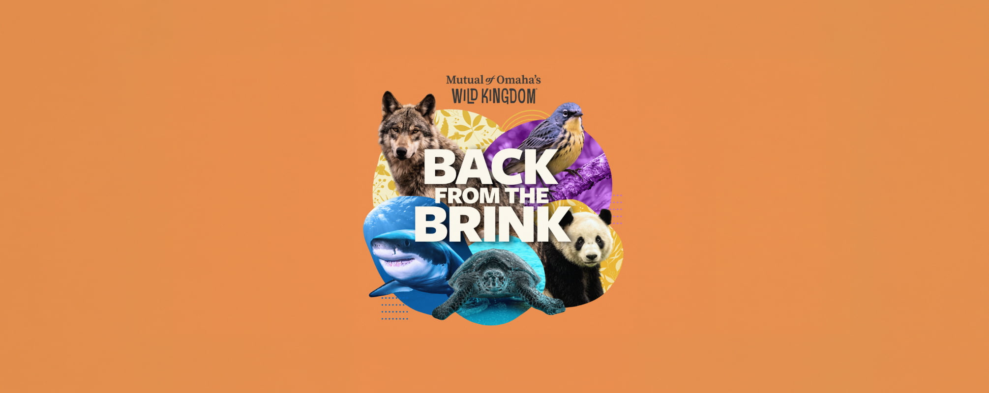 Image depicting a myriad of animals and the Back from the Brink logo.