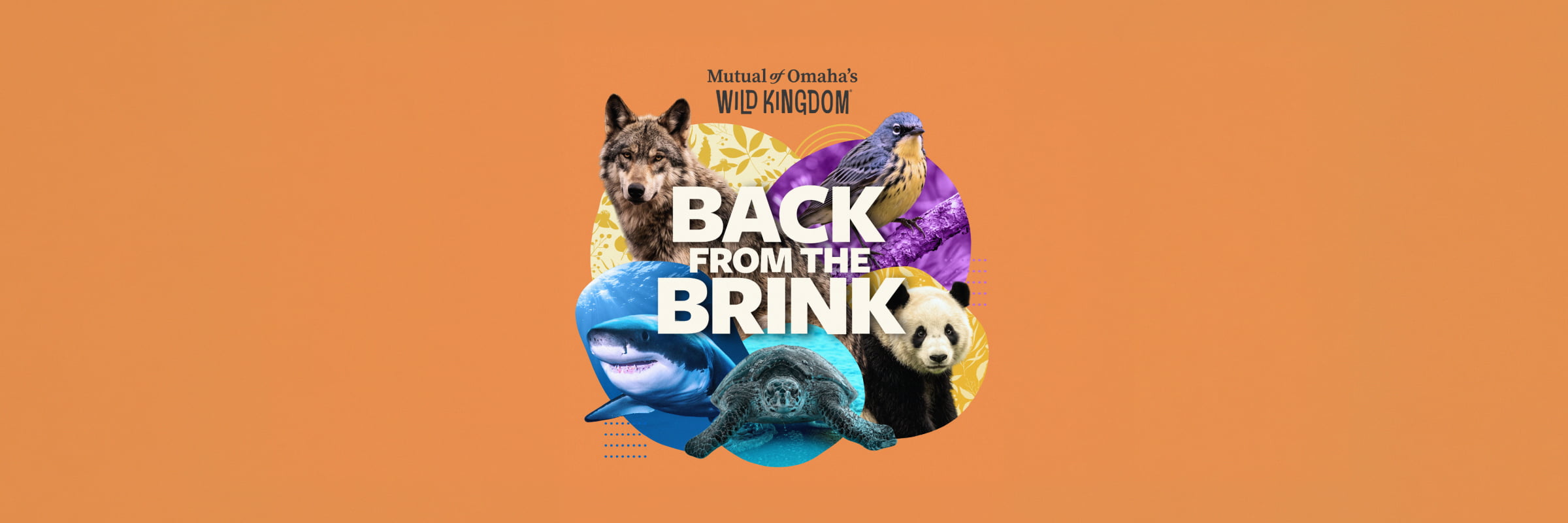 Image depicting a myriad of animals and the Back from the Brink logo.
