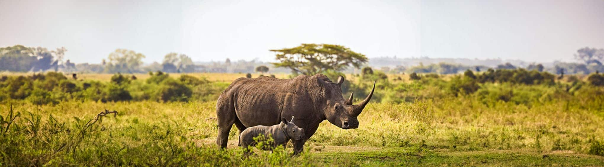 Wildest Places on Earth Book Image