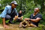 Thumbnail - Dr. Rae Wynn-Grant meets a Suwannee River alligator snapping turtle