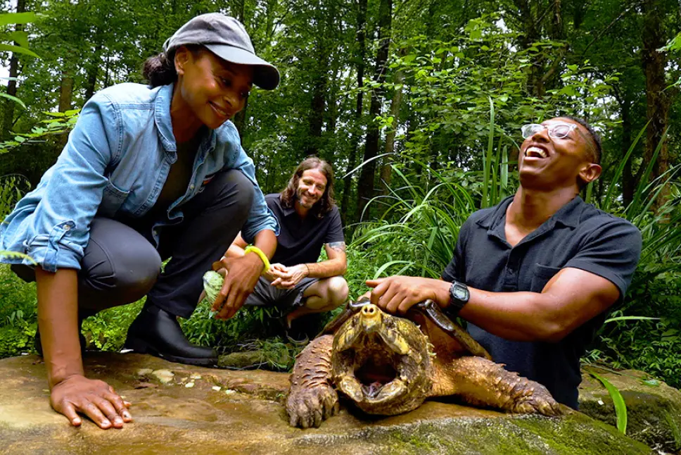 Dr. Rae Wynn-Grant meets a Suwannee River alligator snapping turtle