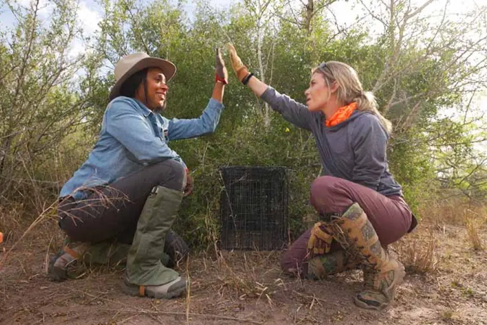 Dr. Rae Wynn-Grant participates in ocelot fieldwork in Texas.