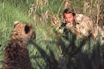 Thumbnail - Jim Fowler gets up close while photographing a cheetah.