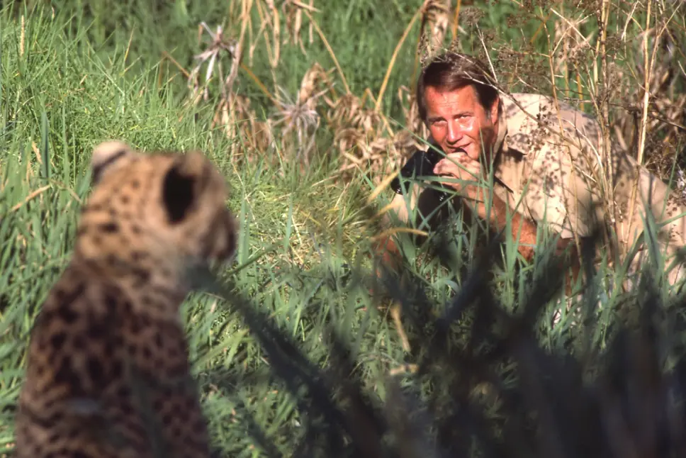 Jim Fowler gets up close while photographing a cheetah.