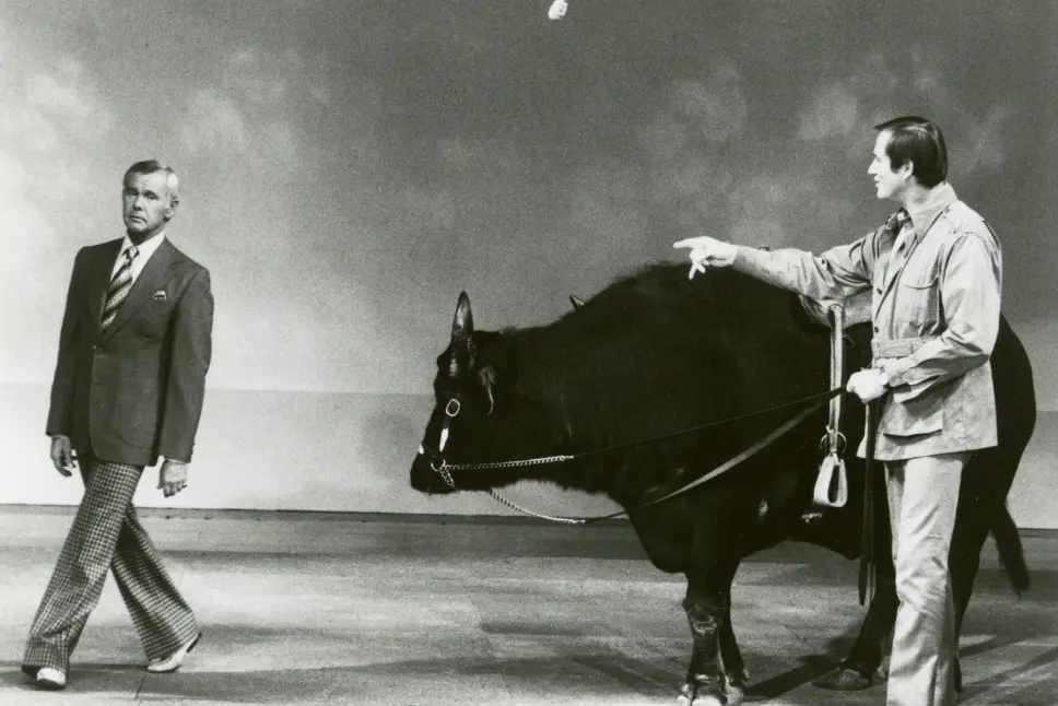 Jim Fowler brings a cow to "The Tonight Show Starring Johnny Carson"