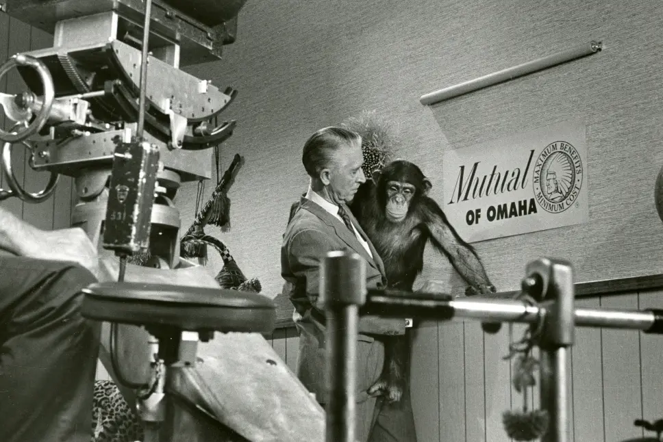 Mr. Moke, a chimpanzee, was seen in the early days of Wild Kingdom