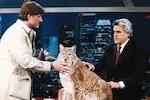 Thumbnail - Peter Gros brings a lynx on "The Tonight Show With Jay Leno"