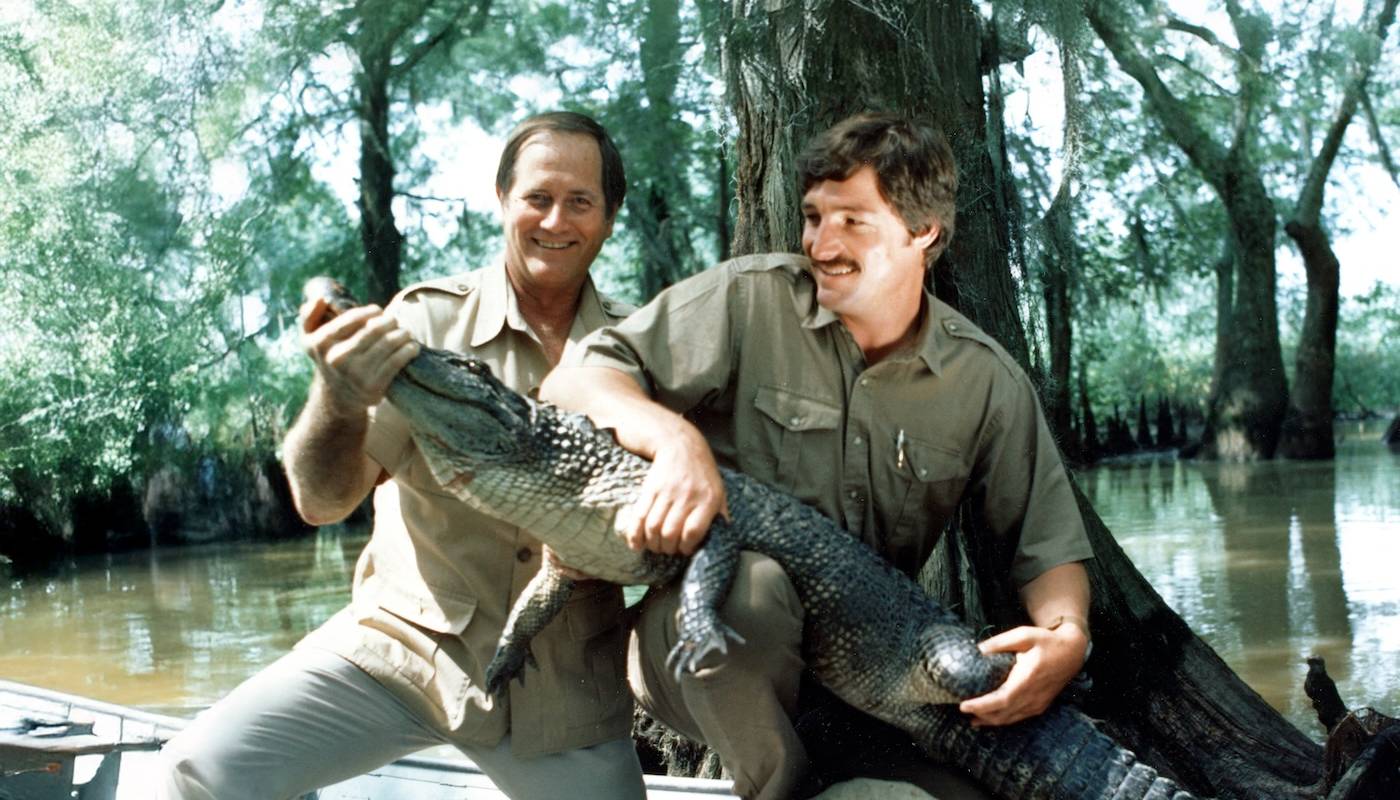 Action image of the hosts with an alligator. They are on a boat, on a lush waterway. Jim Fowler continues hosting with new co‑host Peter Gros, 1985.