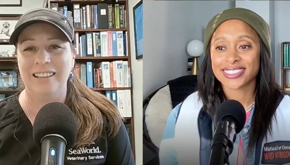 Dr. Rae Wynn-Grant recording a podcast with a Sea World veterinary worker.