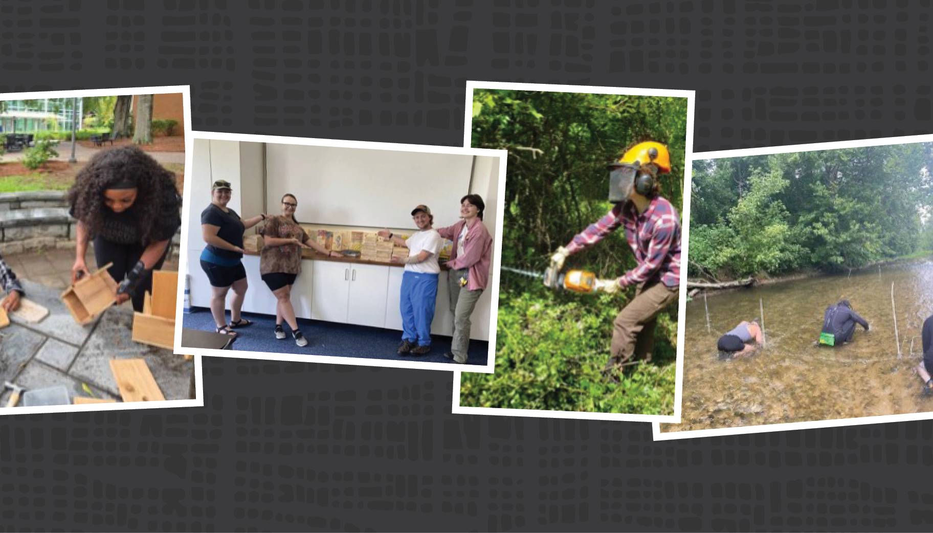 Photo montage of Wild Kingdom collaborative teams supporting conservation efforts.