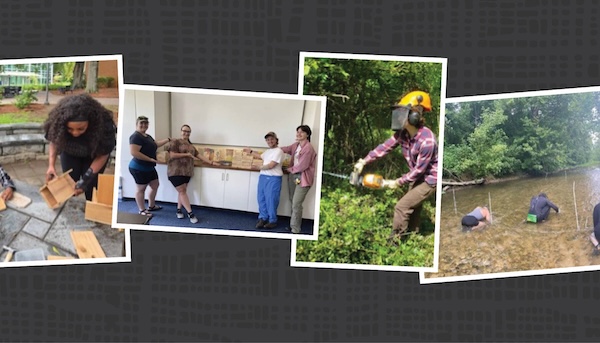 Photo montage of Wild Kingdom collaborative teams supporting conservation efforts.
