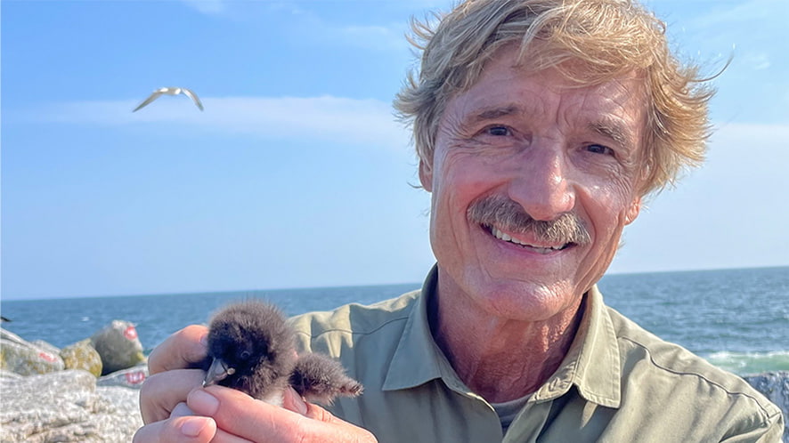 Peter Gros holding a puffin chick.